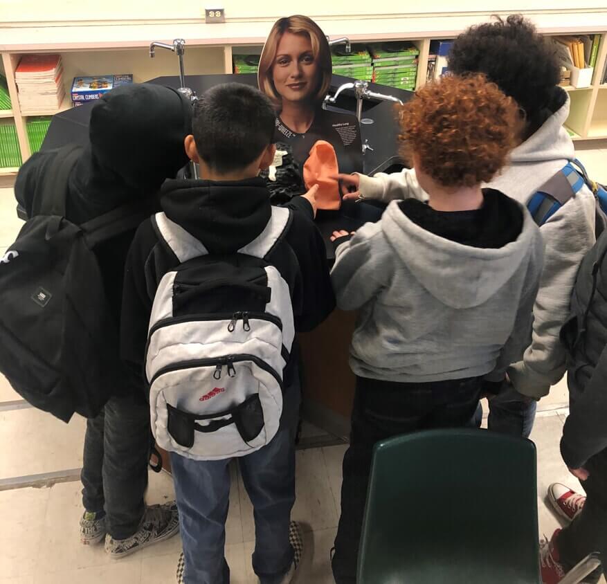 Students studying about lungs